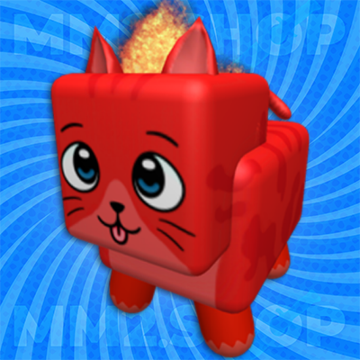Fire Cat Pet